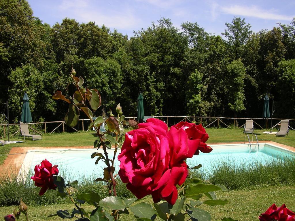 Agriturismo Tre Madonne Монтериджиони Экстерьер фото